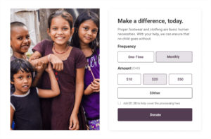 A sample donation form with an image on one side and donation information on the other
