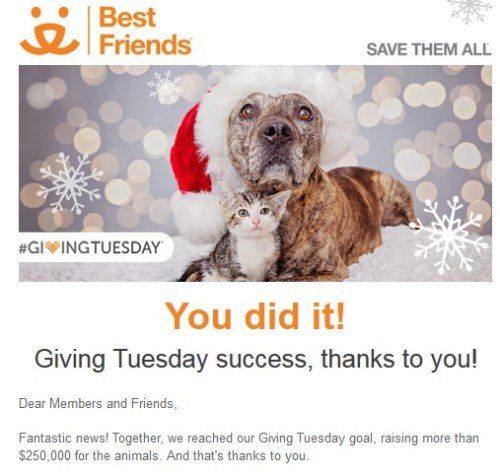 Giving Tuesday Email Sample BY best Friends