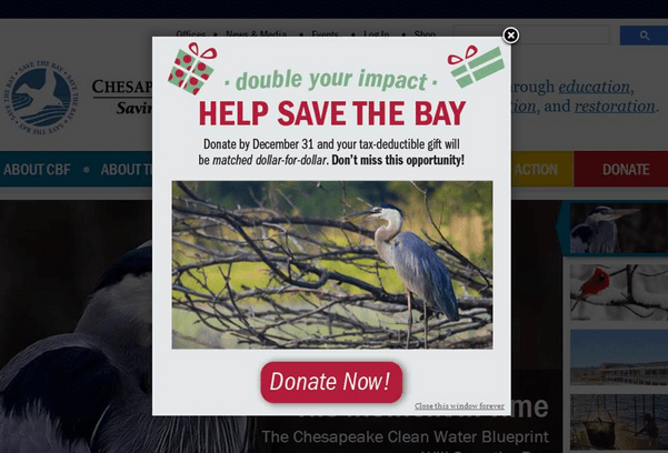 Cheesapeake Bay Foundation's Donation Pop-Up