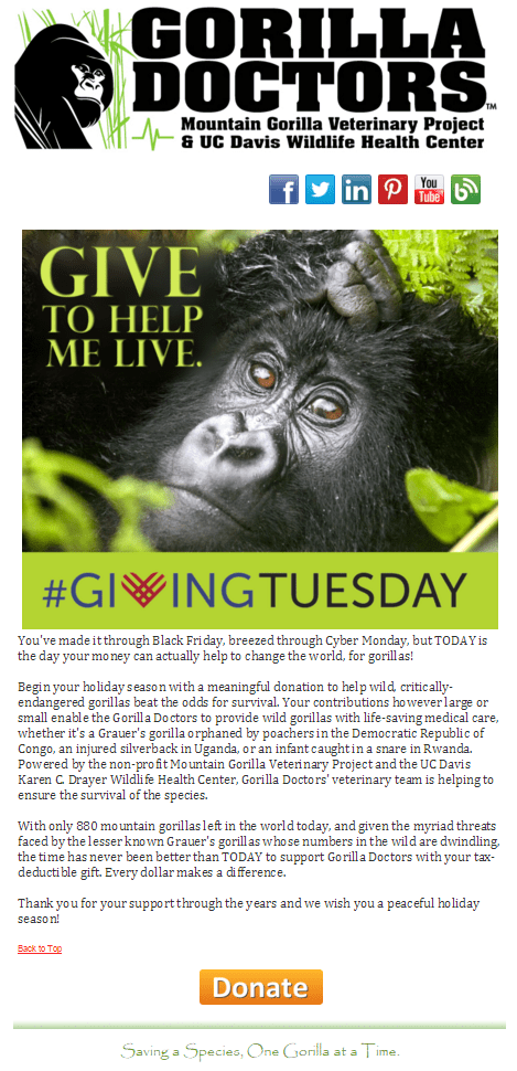 Giving Tuesday Email Sample by Gorilla Doctors