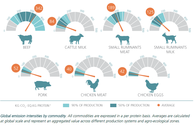 Illustration of impact on meat on the environment
